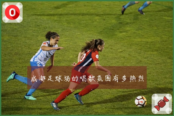成都足球场的唱歌氛围有多热烈