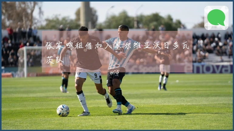 张家鸣租借加入塞尔维亚沃日多瓦茨队