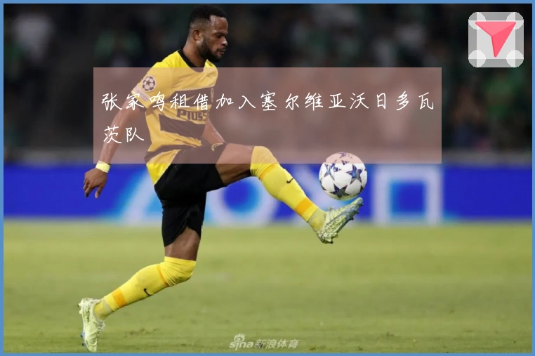 张家鸣租借加入塞尔维亚沃日多瓦茨队